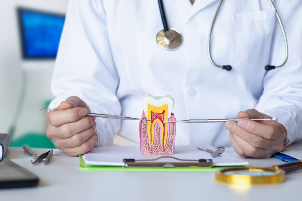 Best Pediatric Emergency Dentist in Monmouth, OR